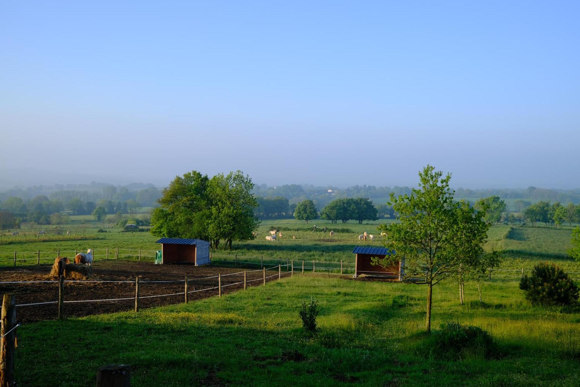 Les Chambres De La Forge Des Collines Les Herbiers Bagian luar foto