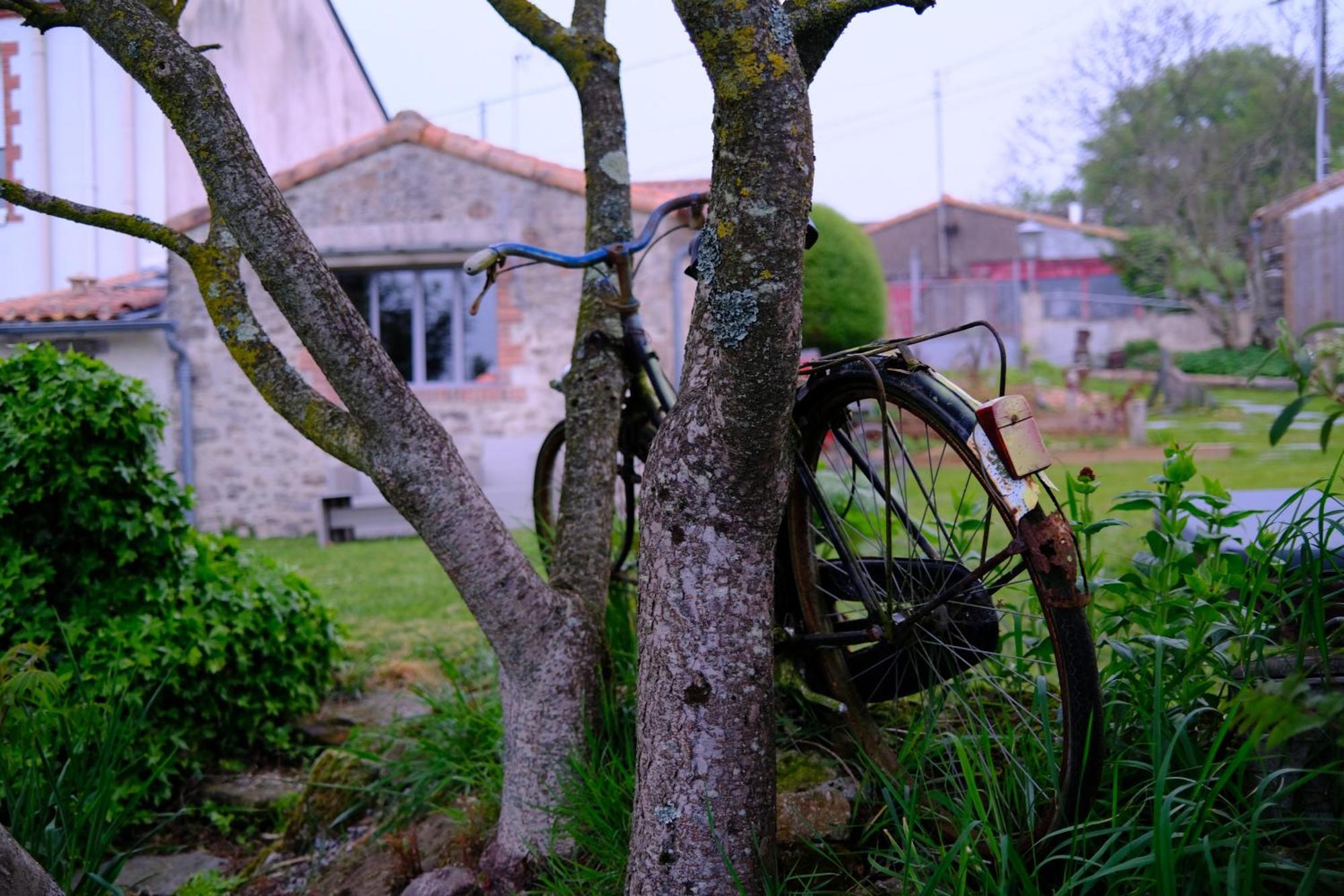 Les Chambres De La Forge Des Collines Les Herbiers Bagian luar foto
